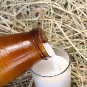 Frische Milch momentan nicht inder Glas-Flasche erhältlich