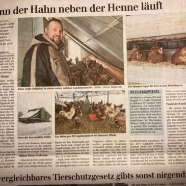 Wenn der Hahn neben der Henne läuft